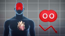 Doctors successfully suspend human in animation Instructional Video