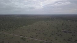 Drone shots of the Kenyan Grasslands News Clip