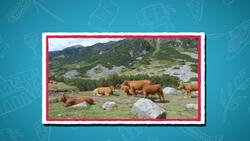 High Five Facts - Italy
 Choca Esos Cinco - Italia Instructional Video