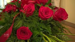 Unclaimed bodies remain in N.L. hospital freezers, despite legislative changes News Clip