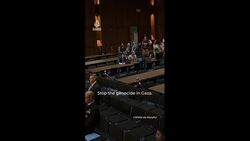 US protesters call to defund Israel's Gaza war during budget hearing News Clip