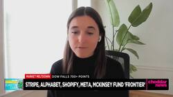 Tech Firms Like Alphabet, Meta Commit $925M to Carbon Removal Initiative Frontier News Clip