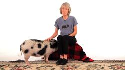 How to Adopt a Pig Instructional Video