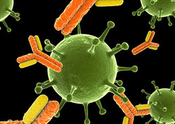 Antibody Instructional Video