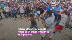 Watch: Nicaraguans whip each other with bull penises in brutal religious tradition News Clip
