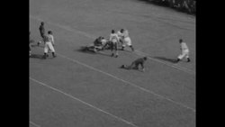 Southern Methodist University vs. Texas Christian University football game News Clip