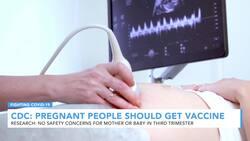 CDC Recommends Pregnant People Get Vaccinated News Clip