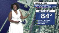 Mostly sunny and warm conditions in Brooklyn Instructional Video