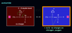 Conditions for Resonance: Why Acetamide and Carbonate Matter Instructional Video