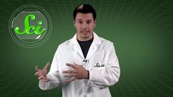 SciShow Quiz Show: Winter Edition with Henry Reich Instructional Video