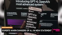 Artificial Intelligence Raises Risk of Extinction, Experts Warn News Clip