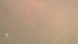 Australian capital declares state of emergency due to fire News Clip