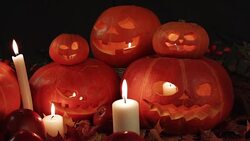 Pumpkins with carved terrible face. Stock Footage