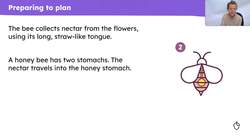 Planning the first section of an explanation text about how bees make honey Instructional Video