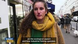 Is the EU going to lower the levels of mercury allowed in tuna? News Clip