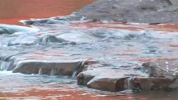 Small waterfall on Fitzroy River, Diamond Gorge, Mornington sanctuary Stock Footage