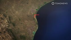 9,000 cold-stunned sea turtles rescued off Texas coast Instructional Video