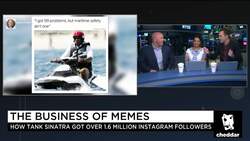 Tank Sinatra: Memes Are Not Going Anywhere News Clip
