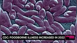 CDC: Foodborne Illness Increased in 2022 News Clip