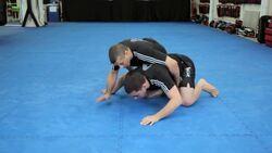 How to Do a Belly Down Arm Lock MMA Submission Instructional Video