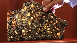 Holding the cosmos, an entrepreneur's meteorite collection Instructional Video