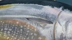 NASA | Earth Science Week: Keeping Up With Carbon Instructional Video