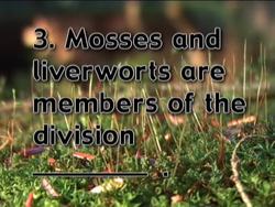 Classifying Plants and Fungi Quiz Instructional Video