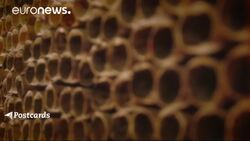 Postcards from Uzbekistan: Samarkand’s tradition of papermaking News Clip