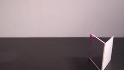 Exploring the Infinity Mirror Phenomenon Instructional Video