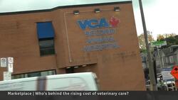 Vet bills on the rise as ownership landscape changes News Clip