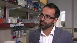 Second man seems to be free of AIDS virus after transplant News Clip