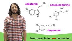 Pharmaceutical Drugs: Inhibitors and the Nature of Disease Instructional Video