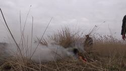 Reed cutters keep rural tradition alive on Norfolk Broads  News Clip