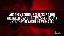 The Wonderful Reason Babies Hiccup So Much Instructional Video