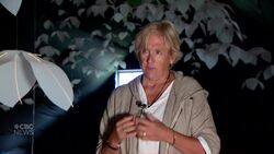 This barn contains a secret art installation News Clip