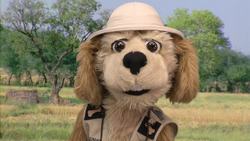 Animal Alphabet: P is for Peacock Instructional Video