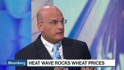 Wheat's Recovery Signals Similar Gains for Broader Grain Market News Clip