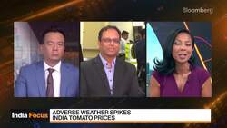 Tomato Prices Soar 445% in India News Clip