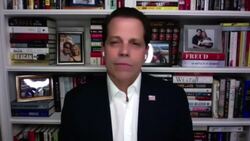 Interview with Anthony Scaramucci on Trump News Clip