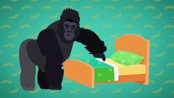 I WONDER - Where Do Gorillas Sleep?  Instructional Video