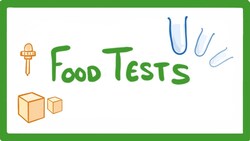 GCSE Biology - Food Tests Practicals #16 Instructional Video
