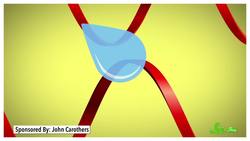 Why Does Hair Get Frizzy When It's Humid? Instructional Video