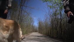 Montreal A to V: A birdwatcher and sunset lover's paradise in Pierrefonds–Roxboro News Clip