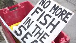 Climate change protesters outside Home Office News Clip