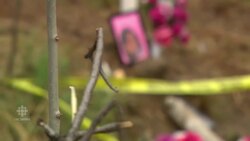 Arrest made in killing of 11-year-old First Nation girl News Clip