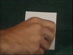 Numbers & Quantities: Counting to 50 Instructional Video