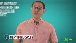 5 Things We Still Get Wrong About Human Reproduction Instructional Video