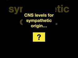 Testing ANS #shorts (Part B) Instructional Video