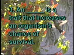 Deserts and the Tundra Quiz Instructional Video