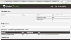 Master Microservices with Spring Boot and Spring Cloud - Step 28 – Distributing Calls Using Eureka and Ribbon Instructional Video